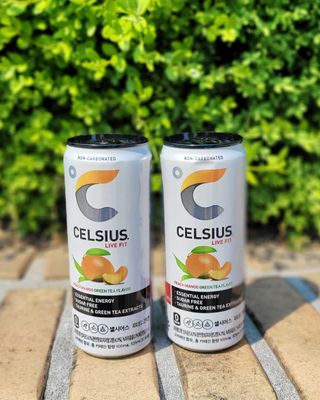 셀시어스 오리지널 325ml 에너지 비타민 피트니스 드링크(24can) 다이어트 음료 — 5점을 준 리뷰어가 2022년 5월 올린 사용 사진