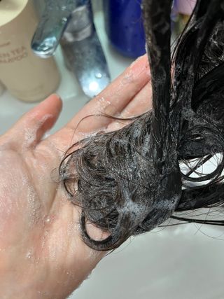 프리마인 더이상 뻣뻣하고 효과없는 탈모샴푸는 NO. 근본부터 케어하는 셀베이스 그린티샴푸(500ml) — 4.5점을 준 리뷰어가 2023년 3월 올린 사용 사진