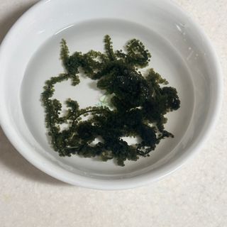 [피터씨마켓] 바다포도 100g(20g x 5봉) 우미부도 그린캐비어 ASMR 소분포장 — 4점을 준 리뷰어가 2024년 8월 올린 사용 사진