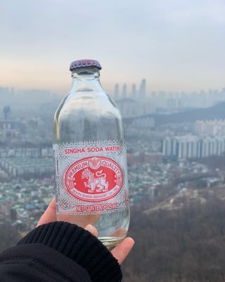 싱하소다워터 — 5점을 준 리뷰어가 2022년 1월 올린 사용 사진