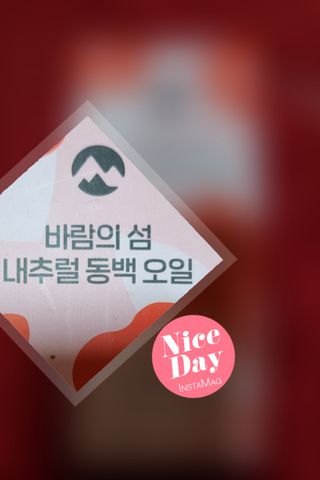 통통이님이 올린 리뷰 사진 2