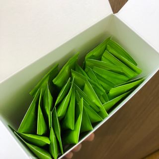 아므_이너뷰티 아므 젤리 컷 그린 씨드 10개입 — 5점을 준 리뷰어가 2021년 2월 올린 사용 사진