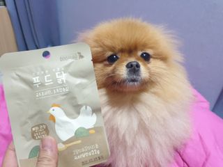 퍼스트캠퍼님이 올린 리뷰 사진 1