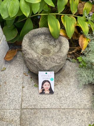 비앤포님이 올린 리뷰 사진 2