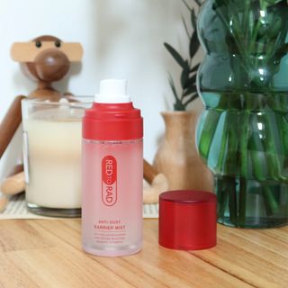 레드투래드 안티더스트 배리어 미스트 55ml — 5점을 준 리뷰어가 2021년 8월 올린 사용 사진