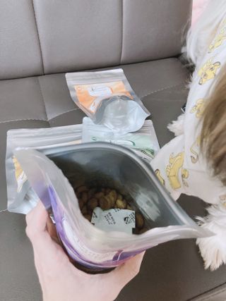 캐닌캐비어 4종 체험팩(오픈스카이, 와일드오션, 프리스피릿, 스페셜니즈) — 4점을 준 리뷰어가 2023년 2월 올린 사용 사진