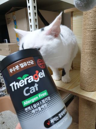 귀욤뽀짝센스쟁이님이 올린 리뷰 사진 1