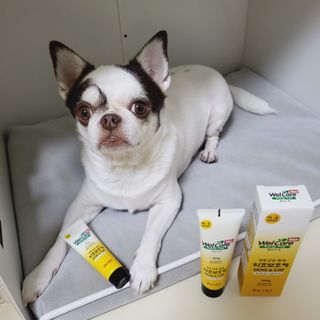 mini unni님이 올린 리뷰 사진 2