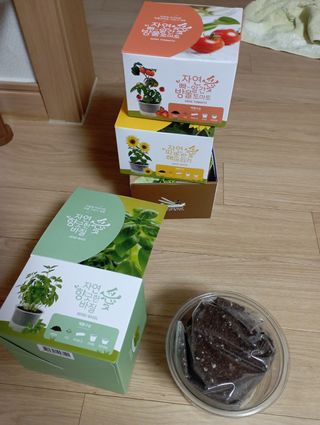 대추님이 올린 리뷰 사진 3