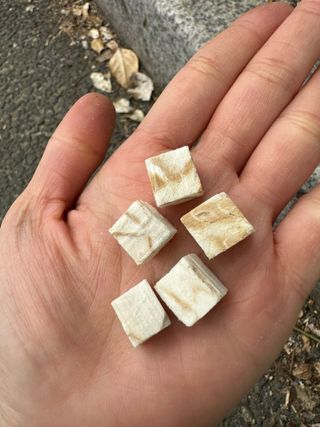[펫시밀] 원물그대로 영양듬뿍 진공동결건조 북어트릿75g,치킨트릿100g,연어트릿75g 강아지 고양이 간식 — 5점을 준 리뷰어가 2023년 6월 올린 사용 사진