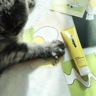 이아름율둥맘님이 올린 리뷰 사진 2