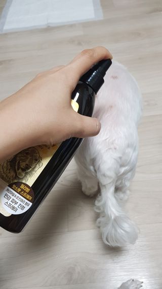 chloe님이 올린 리뷰 사진 3