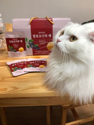 지연님이 올린 리뷰 사진 2