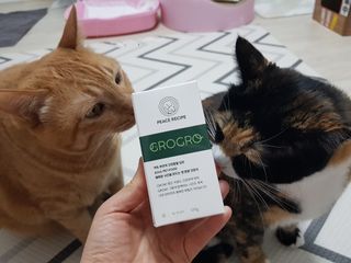 펫21 그로그로 5종 강아지 고양이 반려동물 한방 영양제 — 5점을 준 리뷰어가 2021년 12월 올린 사용 사진