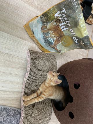 쬬발님이 올린 리뷰 사진 2