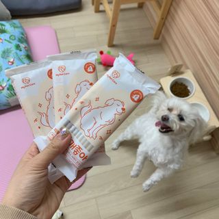 챔미님이 올린 리뷰 사진 2