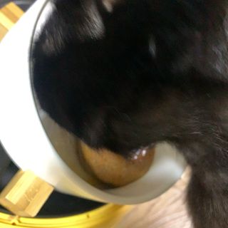 수린님이 올린 리뷰 사진 3