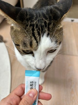 백미냥님이 올린 리뷰 사진 2