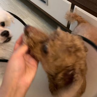 ZiunYang님이 올린 리뷰 사진 4