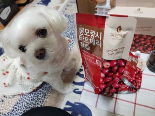 두부님이 올린 리뷰 사진 4