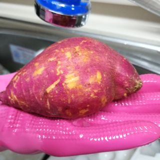 해뜨온 거산 노랑밤고구마 (3,4,5,10 kg) 한입 — 4.5점을 준 리뷰어가 2021년 10월 올린 사용 사진