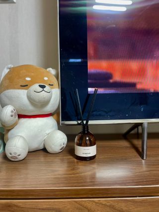 블립 [쿠팡]1+1 디퓨저 실내 방향제 화장실 차량용 집안 냄새제거 집방향제 아로마 — 5점을 준 리뷰어가 2025년 1월 올린 사용 사진