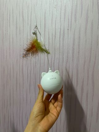 패랭이님이 올린 리뷰 사진 2