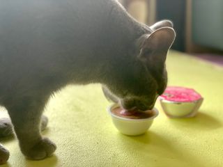 edith님이 올린 리뷰 사진 3