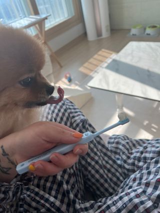 나는희공주님이 올린 리뷰 사진 3
