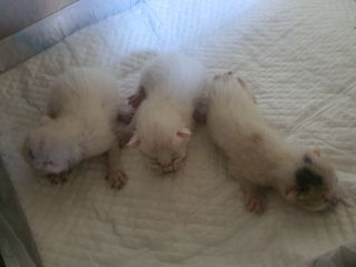 dolee님이 올린 리뷰 사진 4