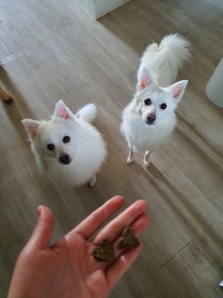 조원동새댁님이 올린 리뷰 사진 1