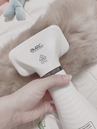 아베크 펫 강아지 고양이 애견 에어 브러쉬 드라이기 올인원 — 3.5점을 준 리뷰어가 2021년 7월 올린 사용 사진