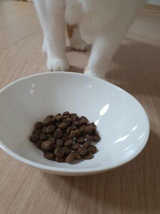 네롱이님이 올린 리뷰 사진 3