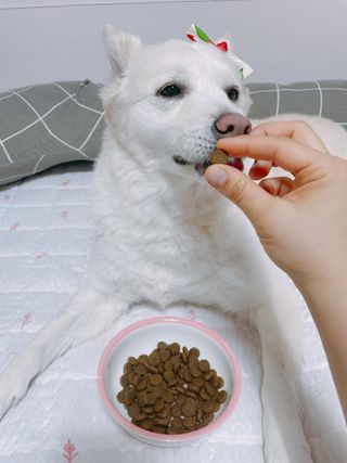 bori0924님이 올린 리뷰 사진 3