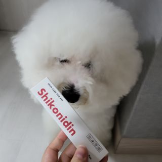 [자유펫] 시코니딘 고양이 강아지 피부 보습 연고 20g — 5점을 준 리뷰어가 2021년 10월 올린 사용 사진