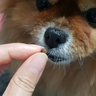 바비와구르미님이 올린 리뷰 사진 4