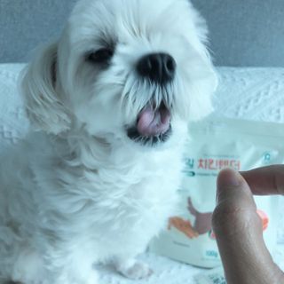 torius님이 올린 리뷰 사진 3
