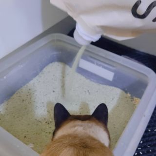 뿌띠님이 올린 리뷰 사진 3