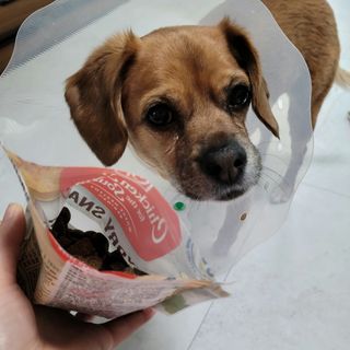 별리리님이 올린 리뷰 사진 2
