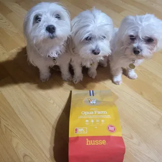 공팔리터님이 올린 리뷰 사진 2