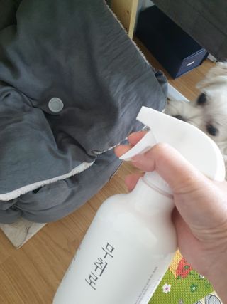 삐랭이님이 올린 리뷰 사진 2