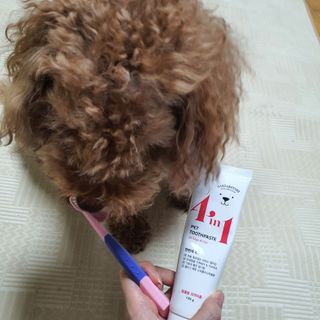 제이드님이 올린 리뷰 사진 1