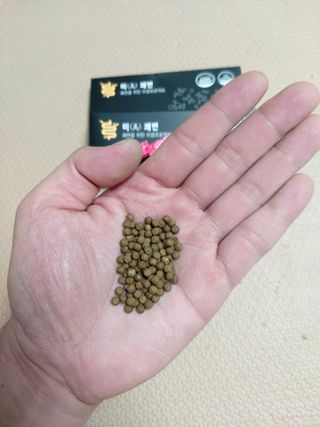 새롬바이오 리생 [미쾌변] 차전자피 식이섬유 건강기능식품 3팩 — 4점을 준 리뷰어가 2021년 6월 올린 사용 사진