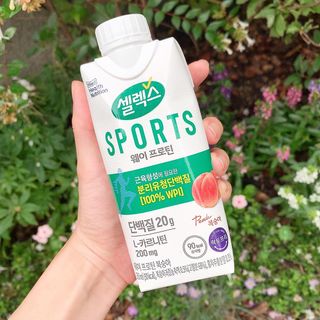 셀렉스스포츠 셀렉스 스포츠 웨이 프로틴 복숭아_ 330ml x 12팩 — 4점을 준 리뷰어가 2021년 8월 올린 사용 사진
