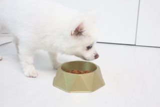오들희님이 올린 리뷰 사진 4