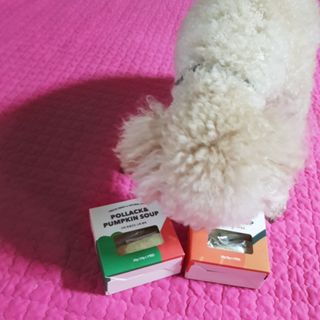 베이컨박스 [BACON] 강아지 수제간식 간편 동결건조 스튜 2종 - 황태, 초록 홍합 — 4점을 준 리뷰어가 2020년 12월 올린 사용 사진