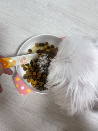 대바기님이 올린 리뷰 사진 3