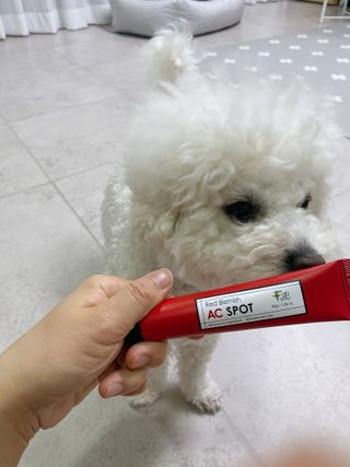 JENNY님이 올린 리뷰 사진 3