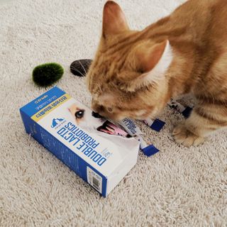 미미야집사님이 올린 리뷰 사진 3