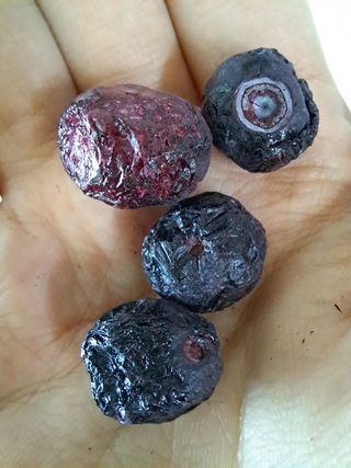 망고나은님이 올린 리뷰 사진 3